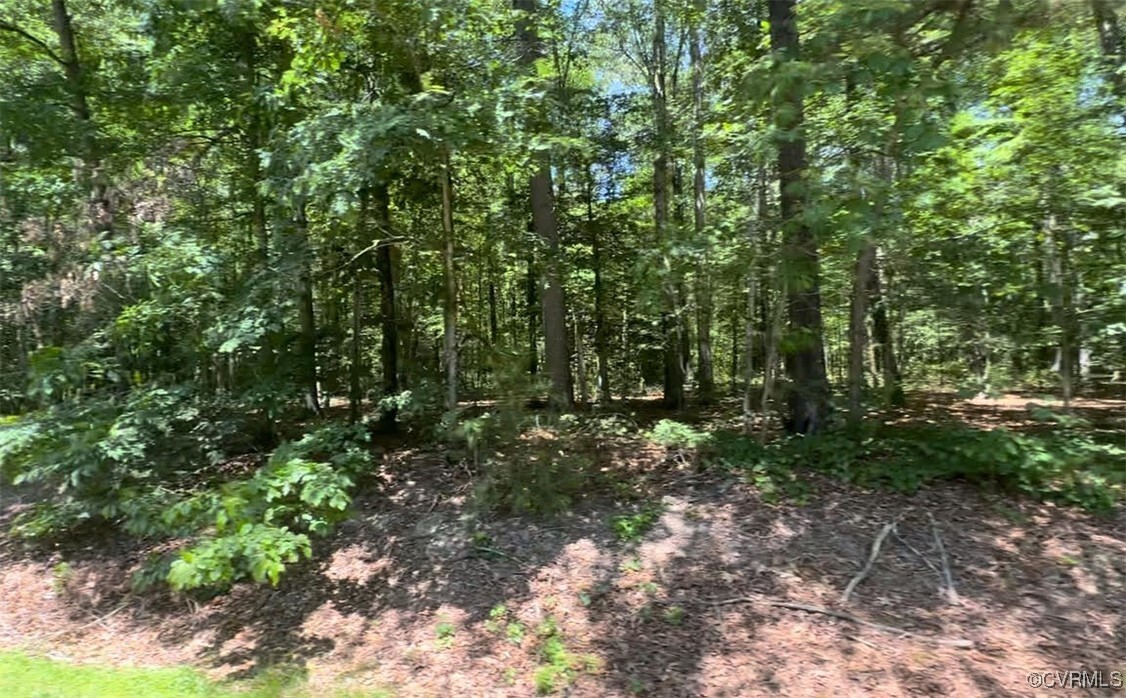 Property Photo: 11300 Brooks Street VA 23059