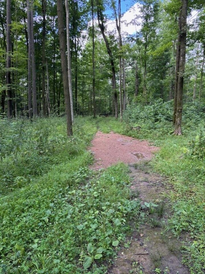 Property Photo:  80 Acres North Branch Road  WI 54499 