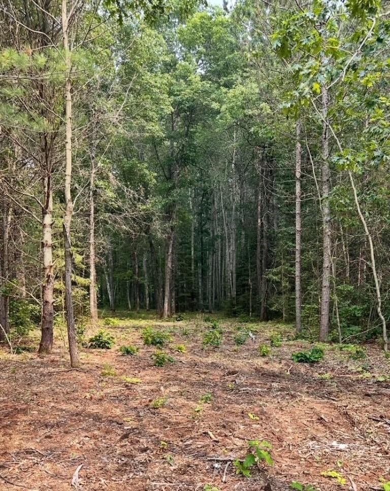 2.5 Acre Cth Y  Tomahawk WI 54487 photo