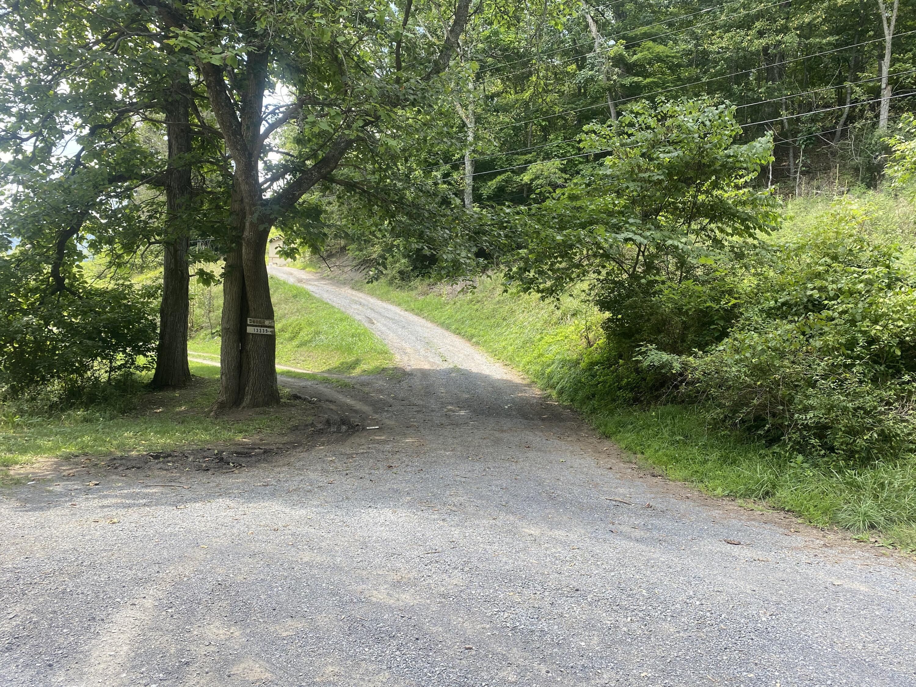 Property Photo:  13345 Wolf Creek Rd  WV 24910 