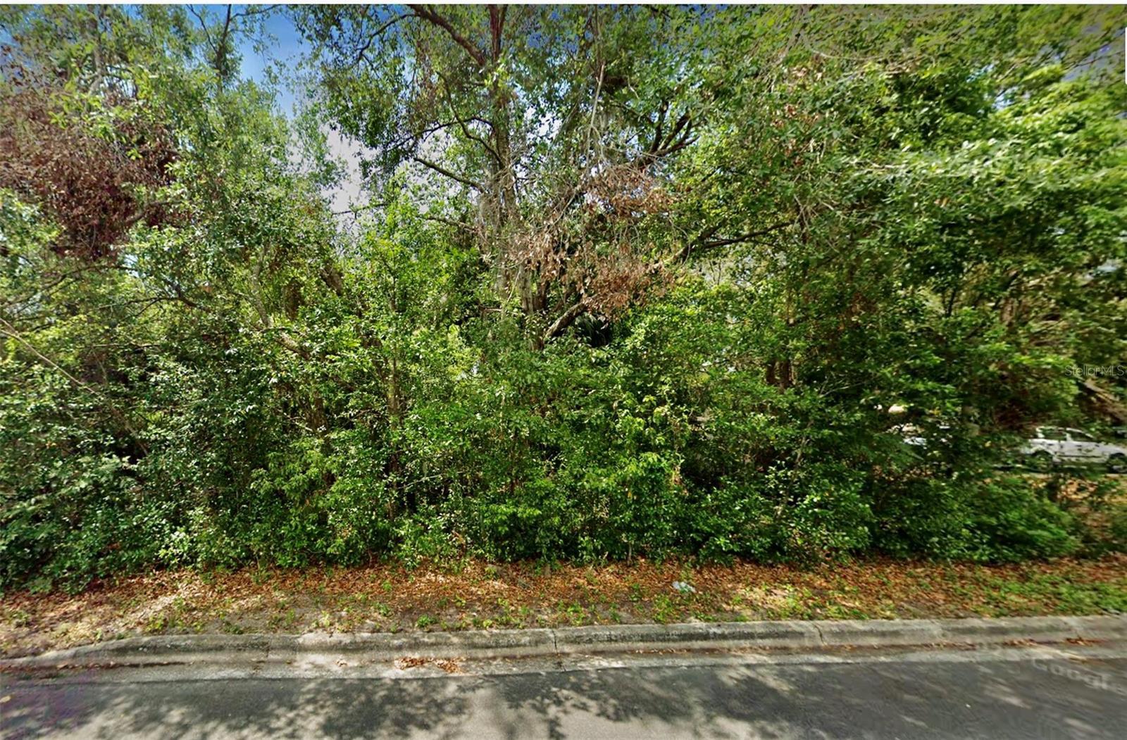 Property Photo: Florida Avenue FL 32757