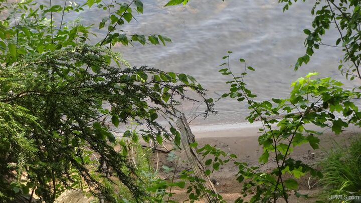 Property Photo:  Tbd Autrain Forest Lake Road  MI 49806 