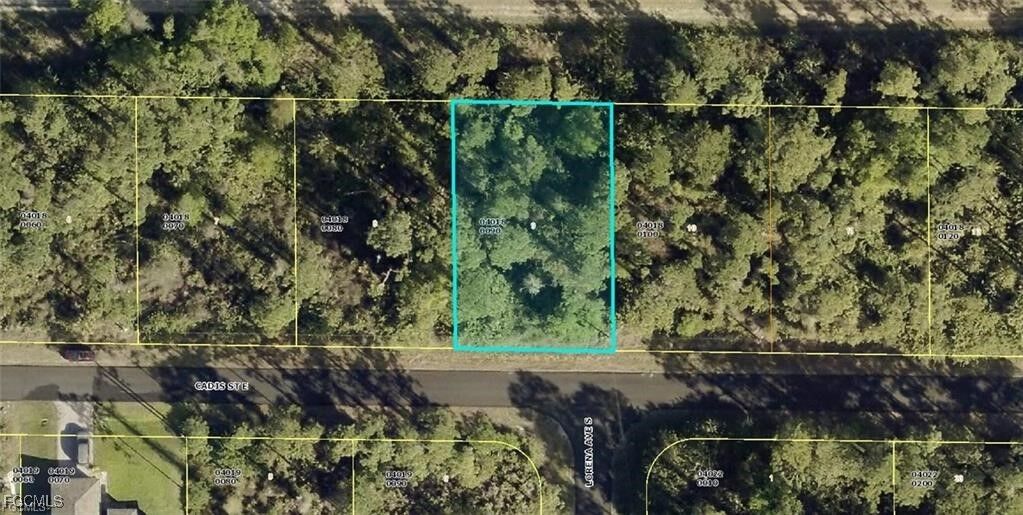 Property Photo: 859 Cadis Street E FL 33974