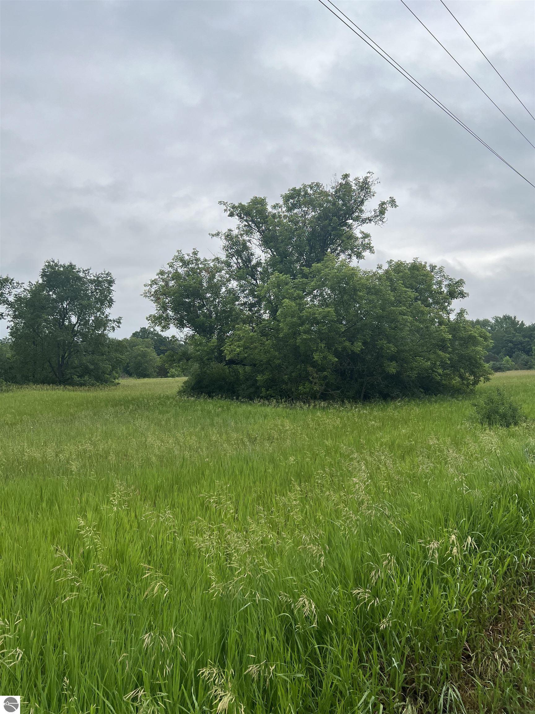 Property Photo:  15040 North Street  MI 49683 