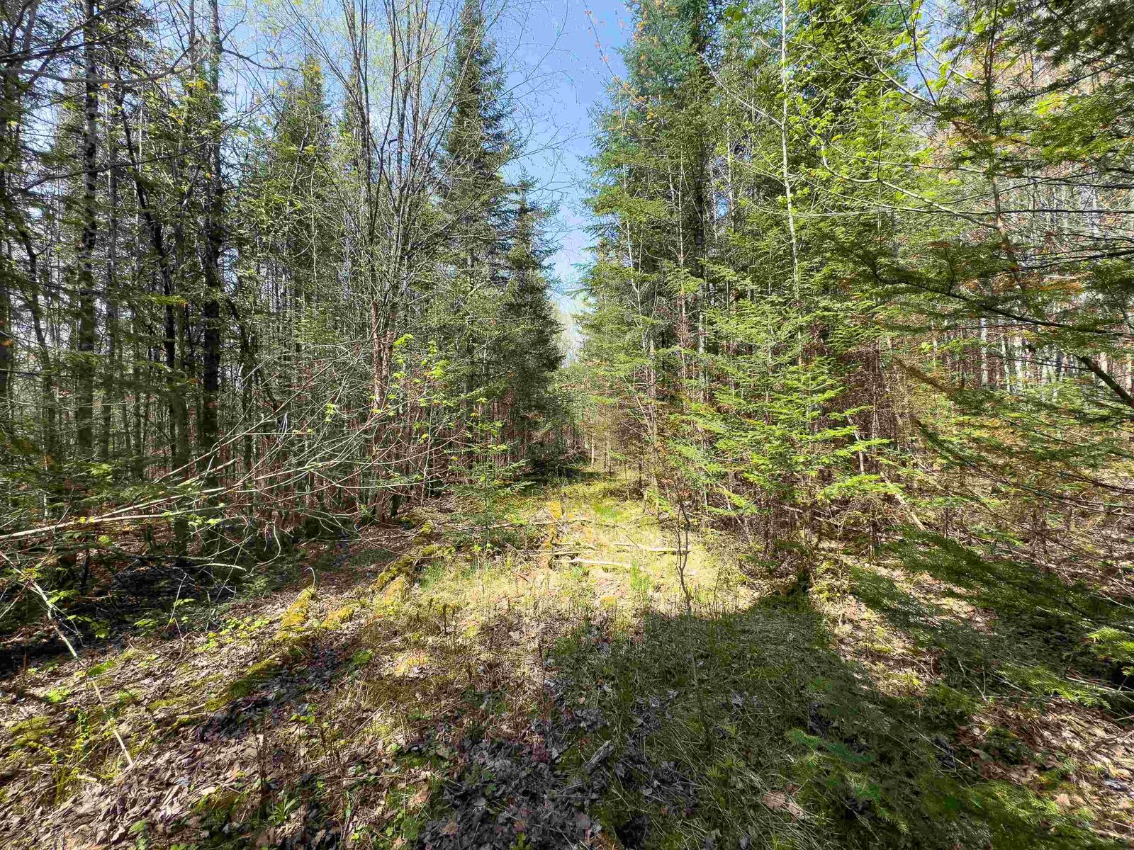 Property Photo: 538 Oregon Road VT 05824