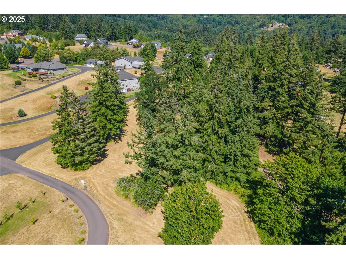 Property Photo: 165 Saturn Ave WA 98674