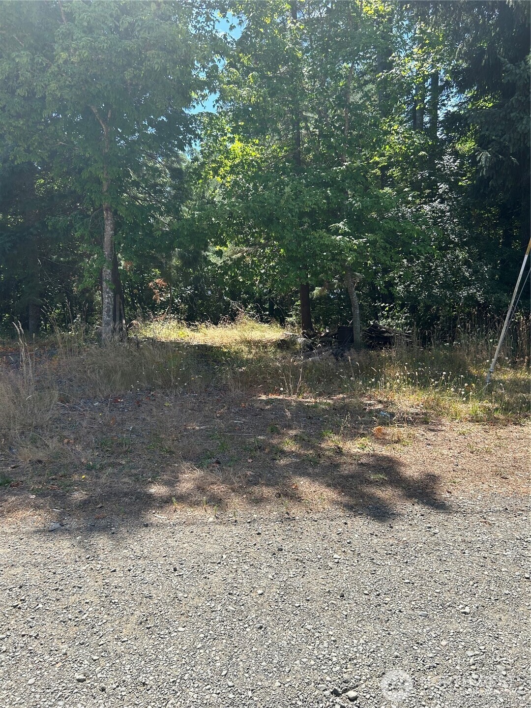 Property Photo: 0 Hazel Street WA 98548