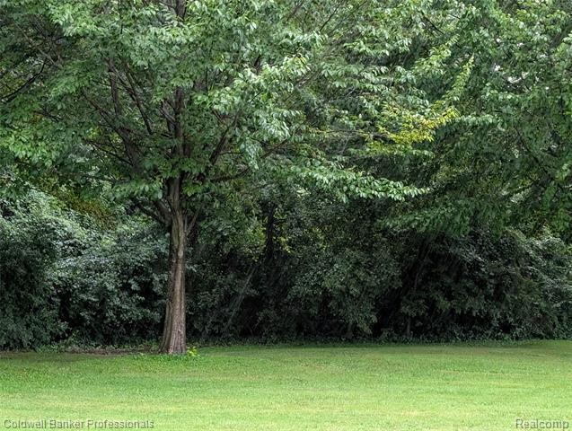 Property Photo:  3.4.5 Alpine Valley  MI 49659 