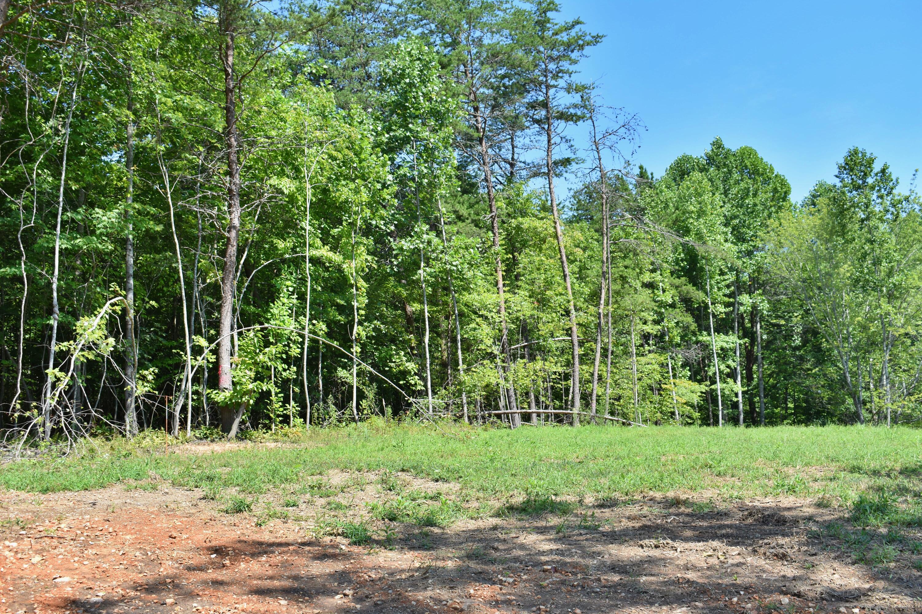 Property Photo: 521 Norton Road TN 37880