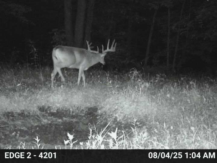 Property Photo: 149 Ac M/L County X WI 54655