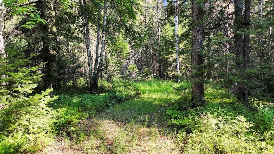 Property Photo: 238 Rustic Rd WA 99119