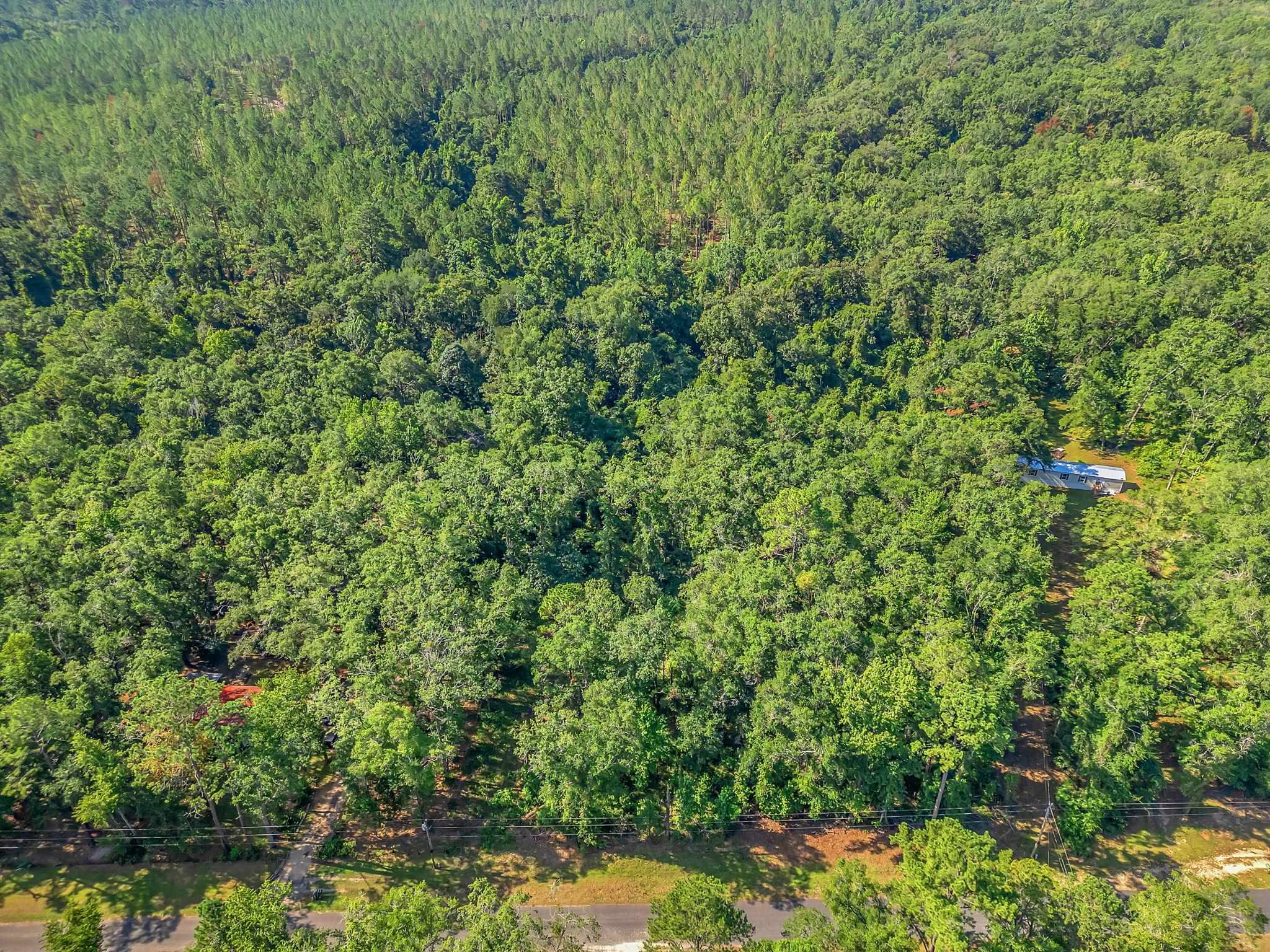 Property Photo: 635 Quail Lane FL 32344