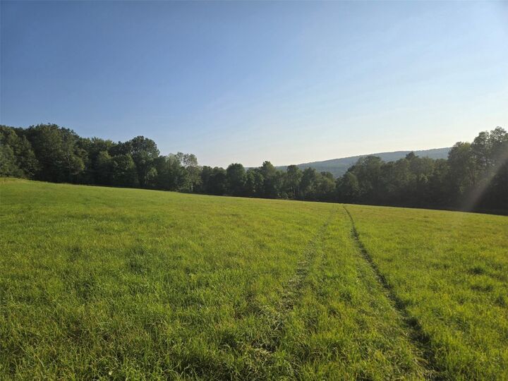 Property Photo:  137 Lewis Hill Road  NY 13841 