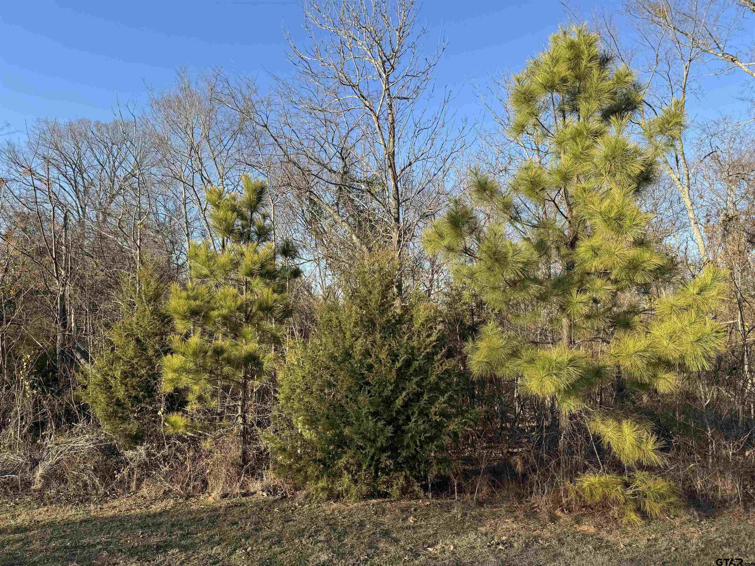 Property Photo: 13358 Nance Ln TX 75771