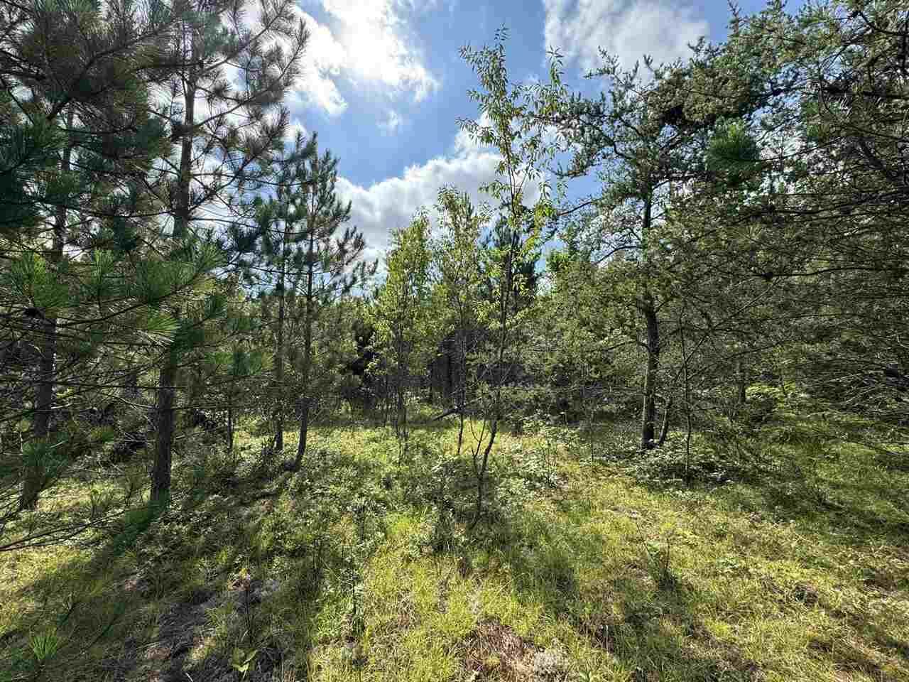 Property Photo: 10320 Upper Mograin MI 49721