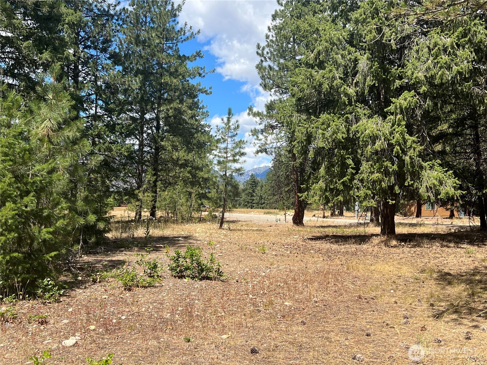 Property Photo:  4  Mazama Meadows Lane  WA 98833 