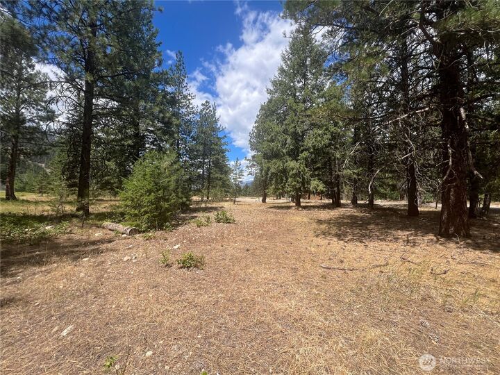 Property Photo: 4 Mazama Meadows Lane WA 98833
