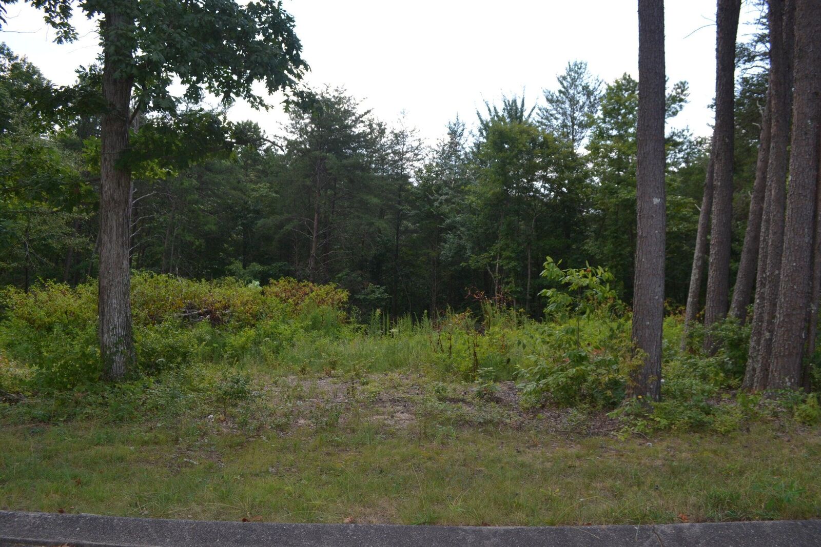 Property Photo:  16 Countryside Drive  TN 37327 