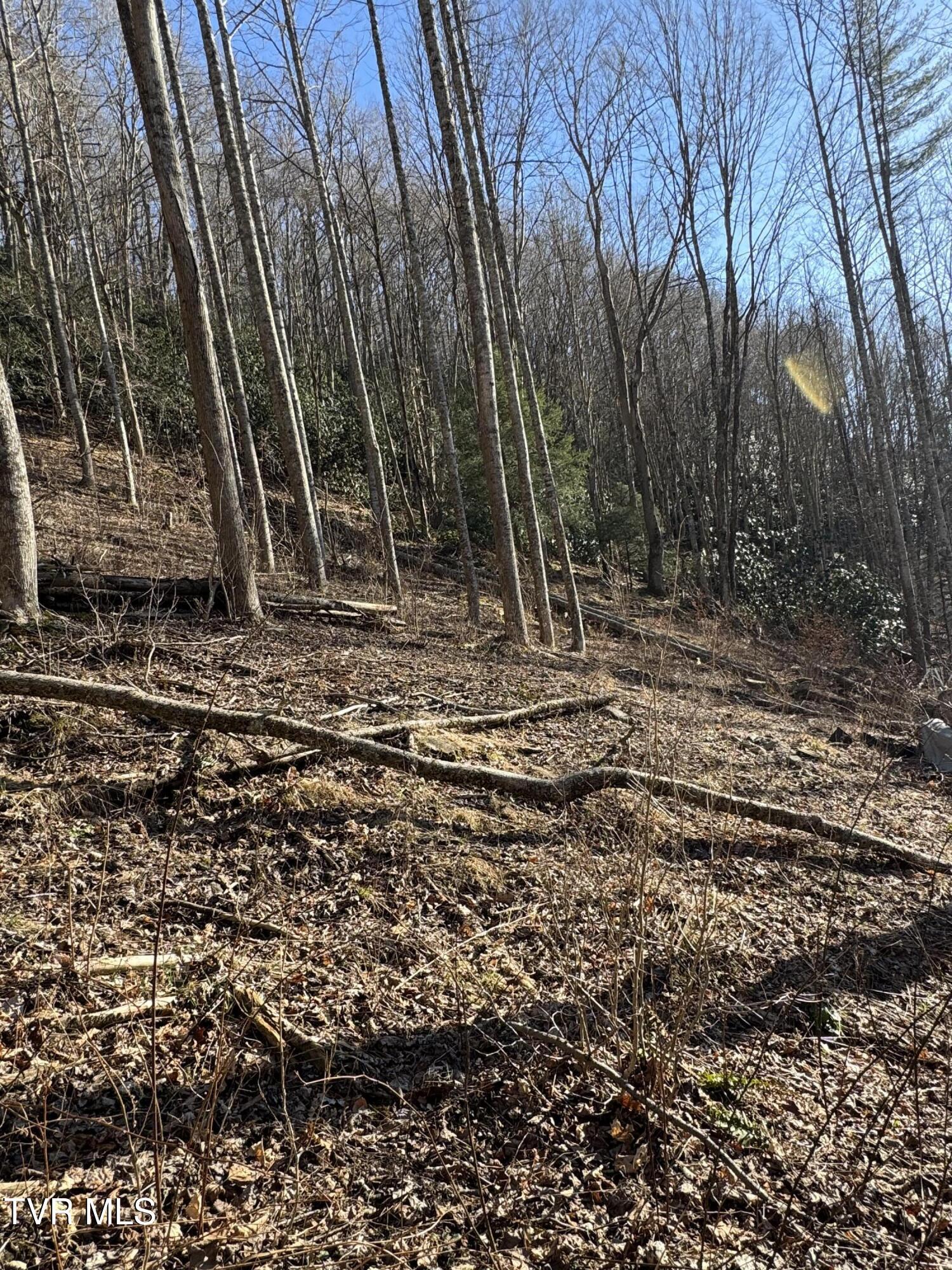 Property Photo: 6020 Forge Creek Road TN 37683