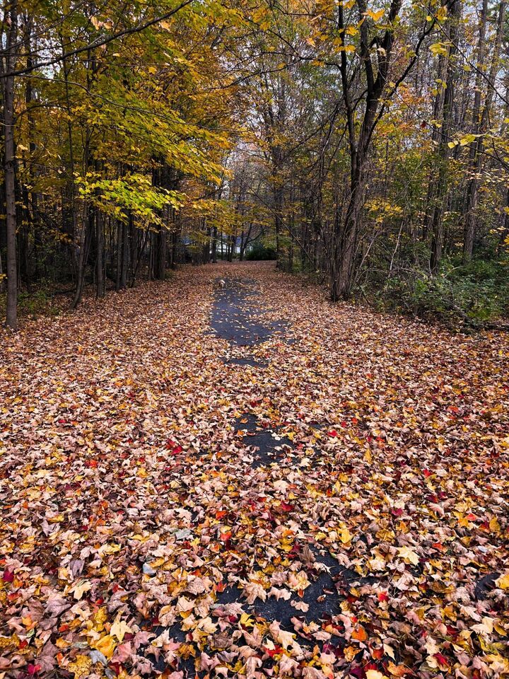 864 O'Neil Road  West Chazy NY 12992 photo