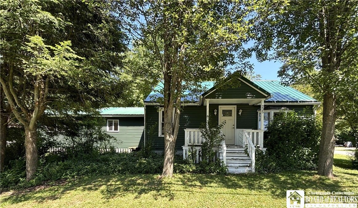 Property Photo:  235 Dunham Avenue  NY 14701 