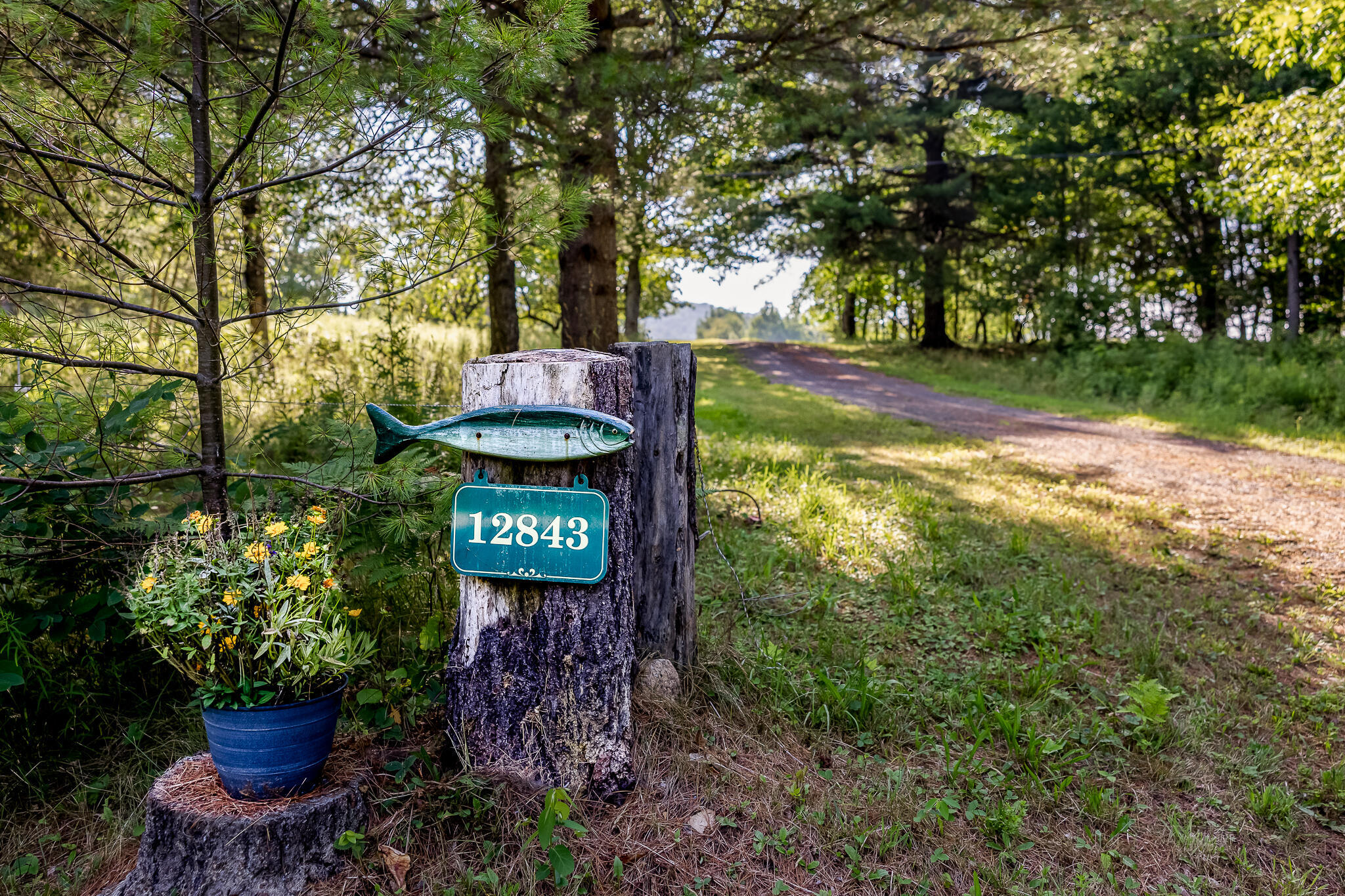 Property Photo: 12843 State Route 30 NY 12953
