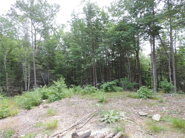 1293 Brittain Road — photo 1