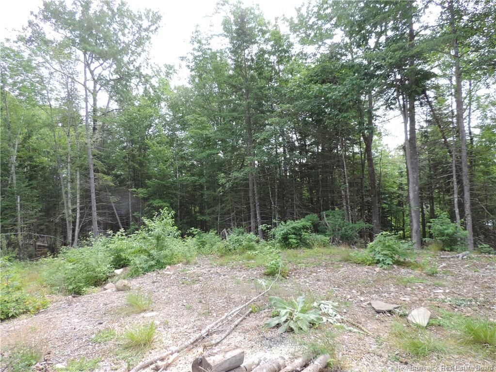 Property Photo:  1293 Brittain Road  NB E2K 4K2 