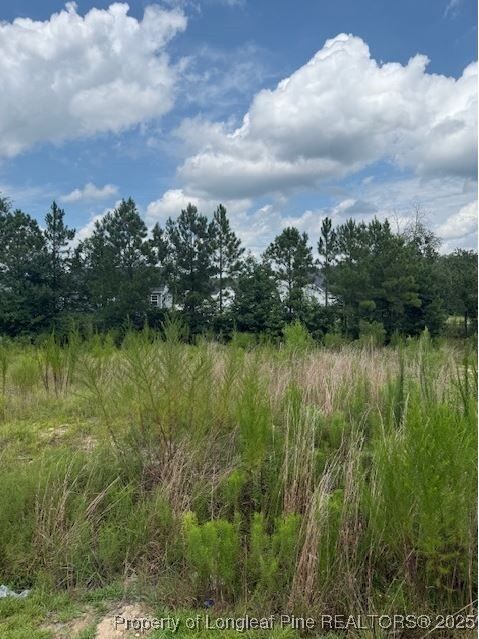 Property Photo:  457 Pittfield Run  NC 28326 