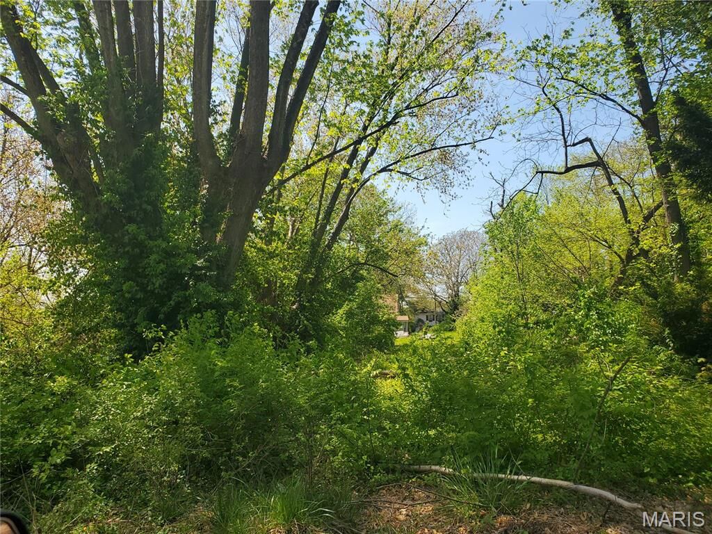 Property Photo: 715 Ann Street IL 62220