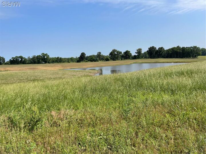Property Photo:  0 Tract 4 County Road 260/262  MO 63825 