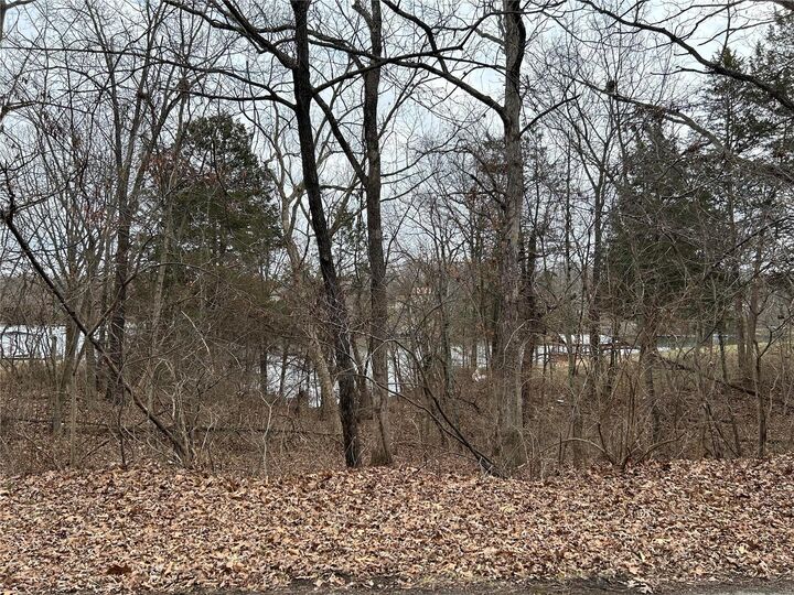 Property Photo: 0 Section 5 Lots 10 &Amp 11 MO 63020