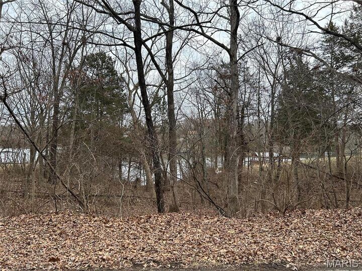 Property Photo:  0 Section 5 Lots 10 &Amp 11  MO 63020 