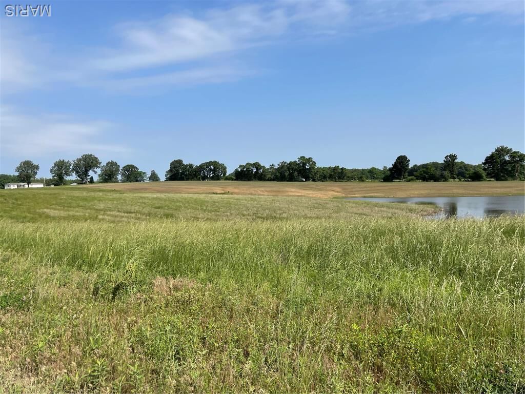 Property Photo:  0 Tract 5 County Road 260/262  MO 63825 