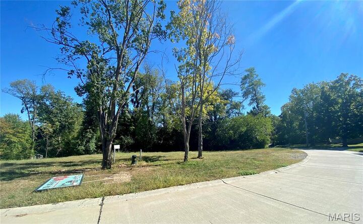 Property Photo:  2017 Lily Avenue  MO 63122 