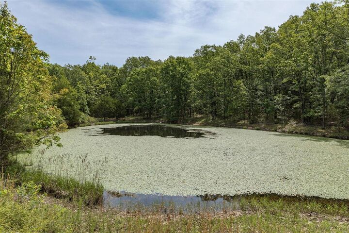 Property Photo: 40 +- Acres Cr-6190 MO 65560