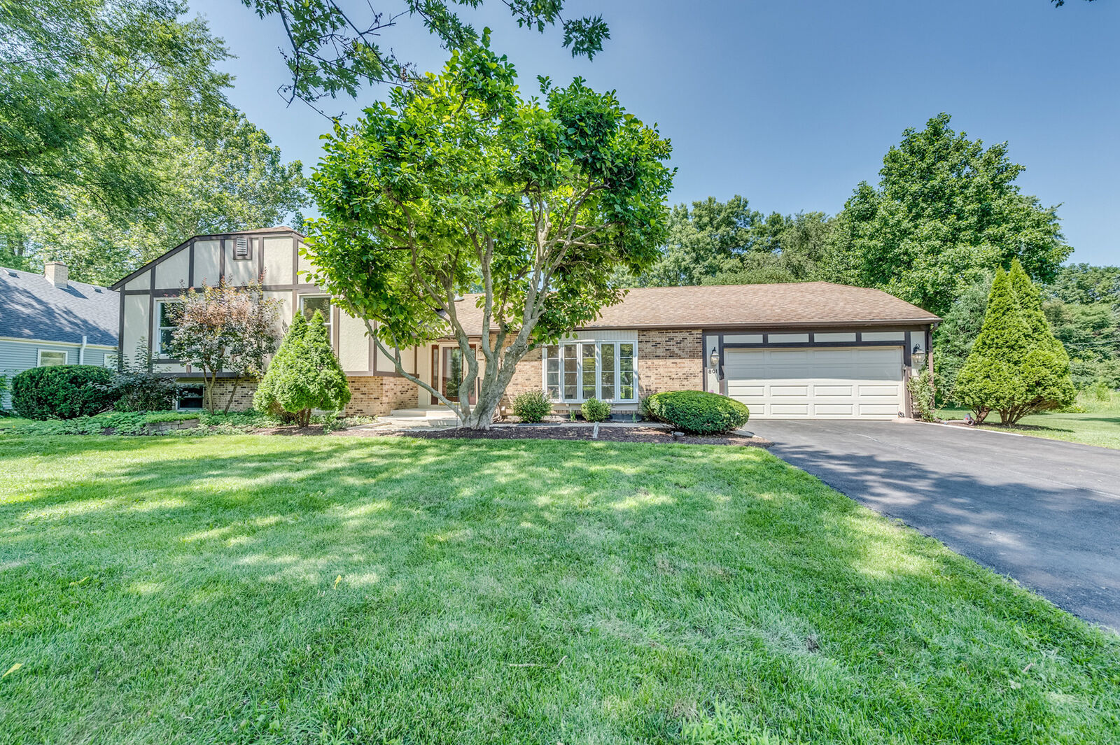 Property Photo:  801 W Fabyan Parkway  IL 60134 