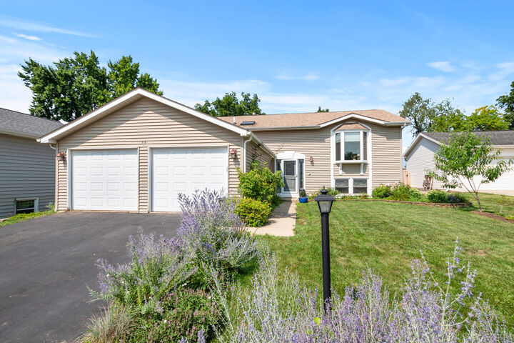 Property Photo:  36 Evergreen Drive  IL 60107 