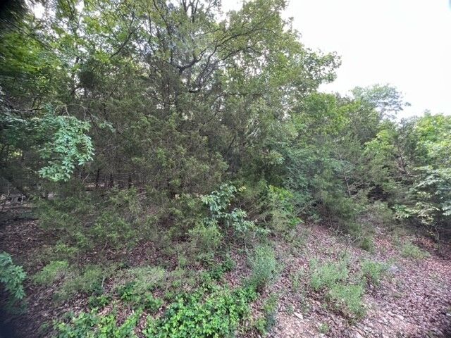 Property Photo: 99 Starlite Avenue AR 72631