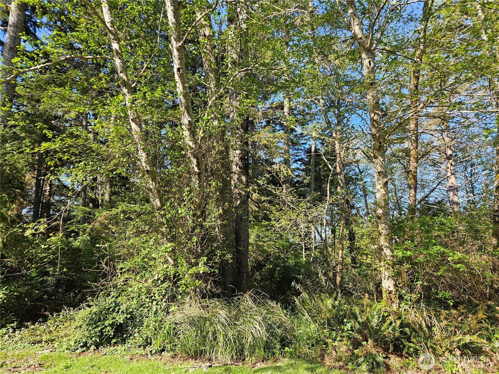 Property Photo: 701 Chenois Avenue NE WA 98569