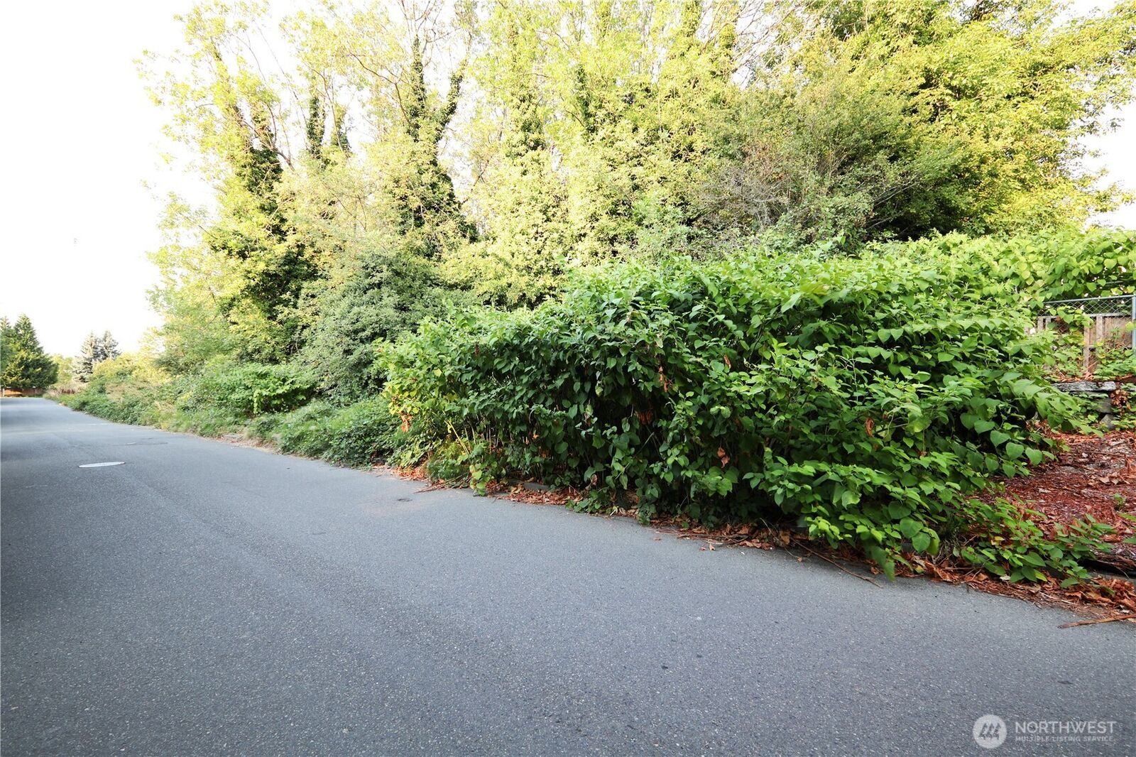 Property Photo:  6721  38th Avenue S  WA 98118 