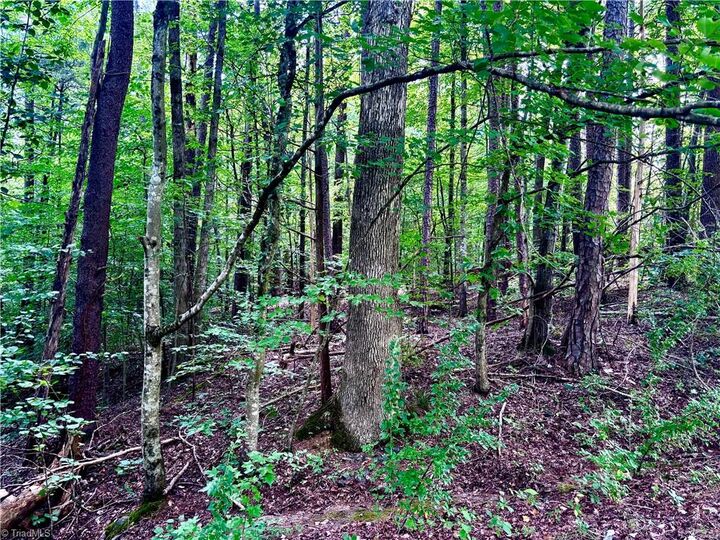Property Photo:  2891 Millwheel Road  NC 27040 