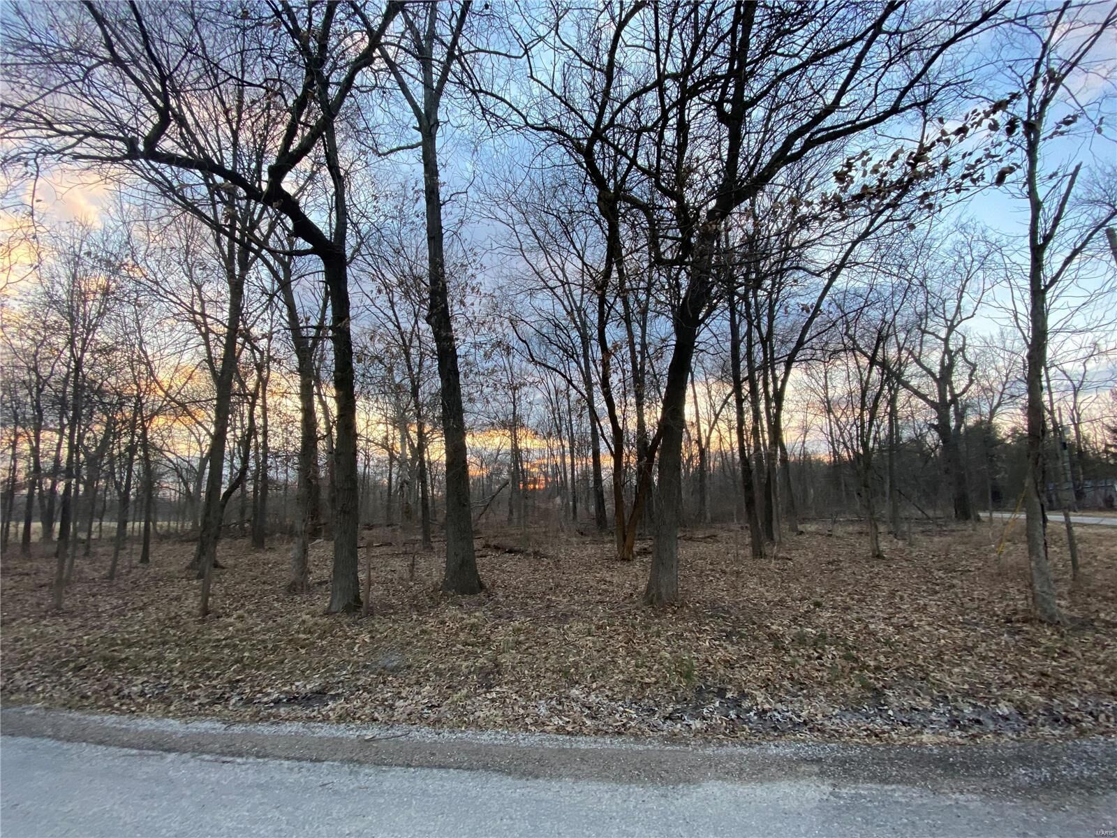 Property Photo: 5225 Hoxey Drive IL 62001