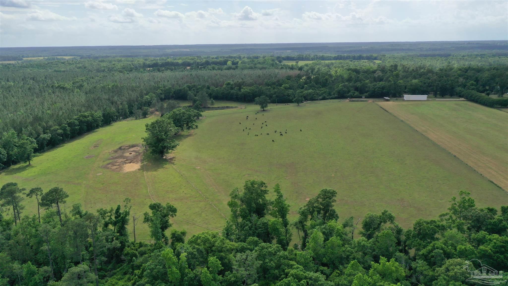 Property Photo:  Lot 5 Hall Rd  FL 32565 