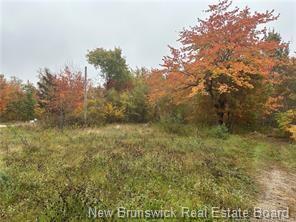 Photo de la propriété: 72 Old Harvey Road NB E6J 1B8