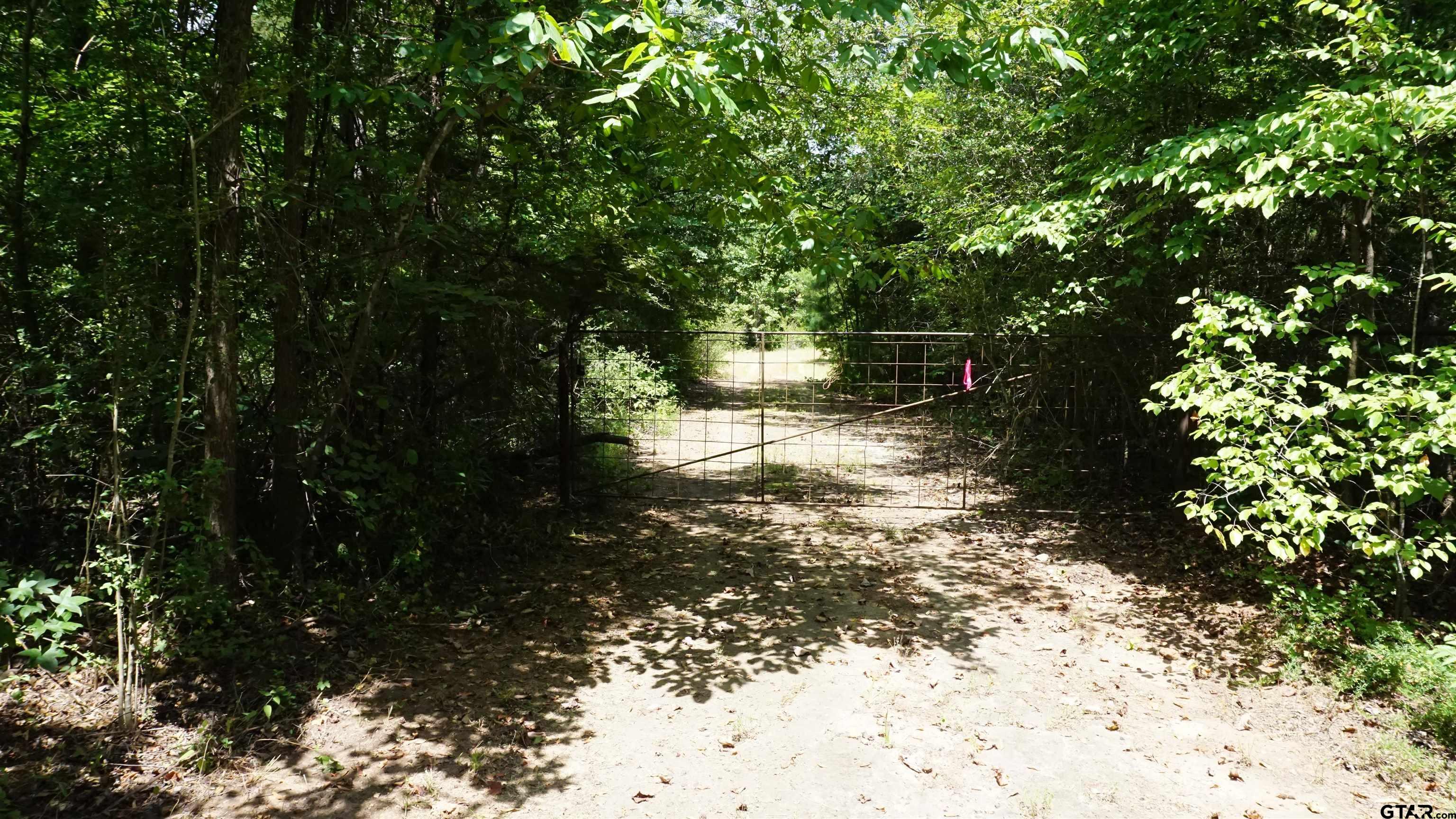 Property Photo: Tbd Private Road 7907 TX 75765