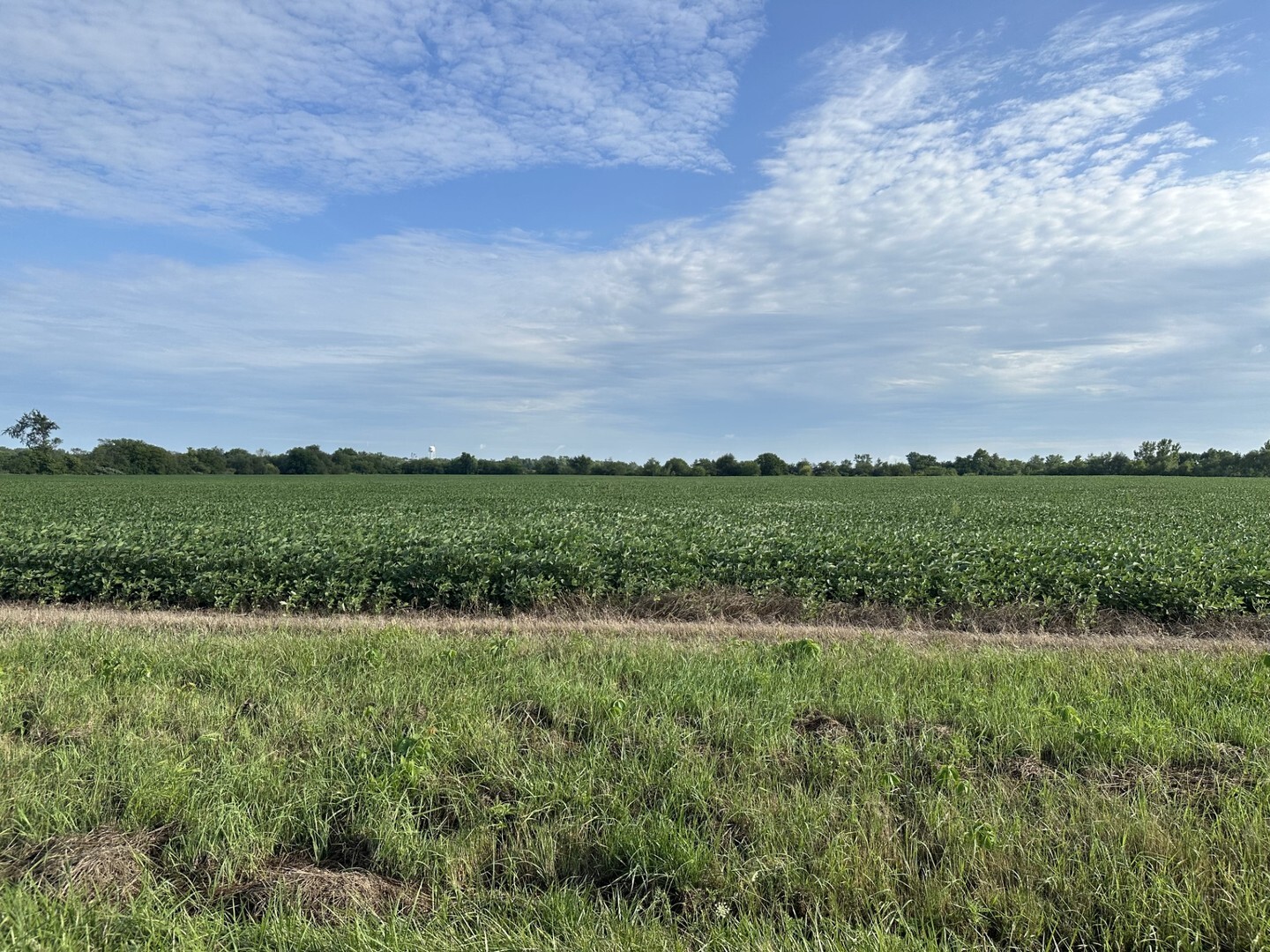 Property Photo: 30 Acres Church And Racine Avenue IL 60401