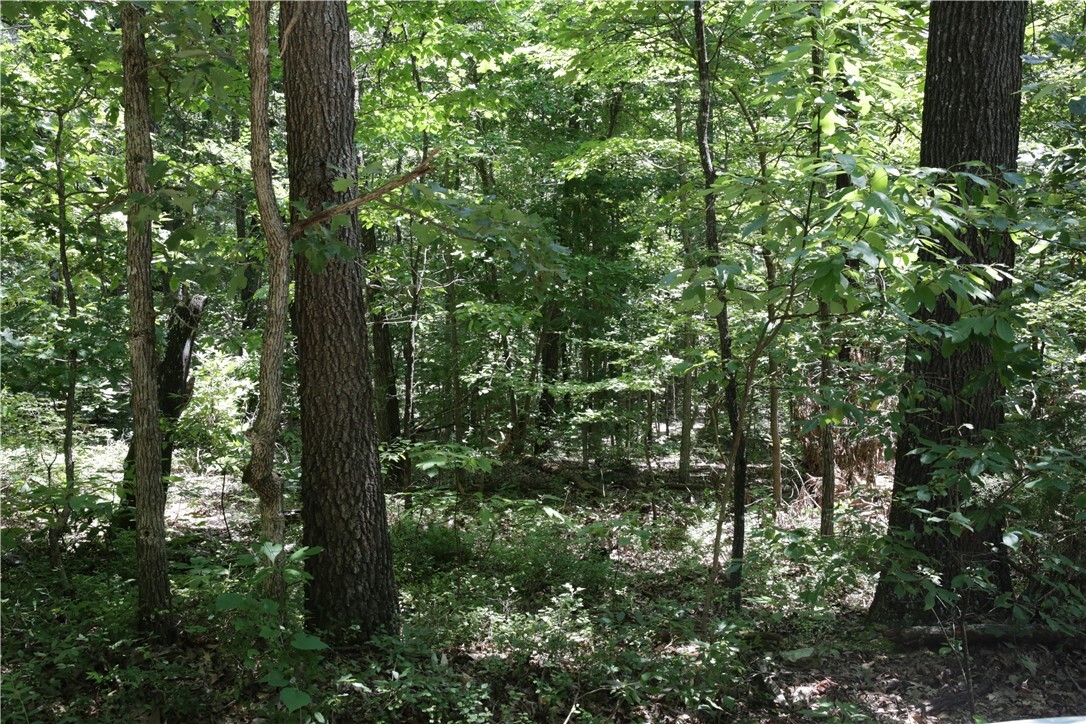 Property Photo: Lot 11, Block 2 Kettering Lane AR 72714