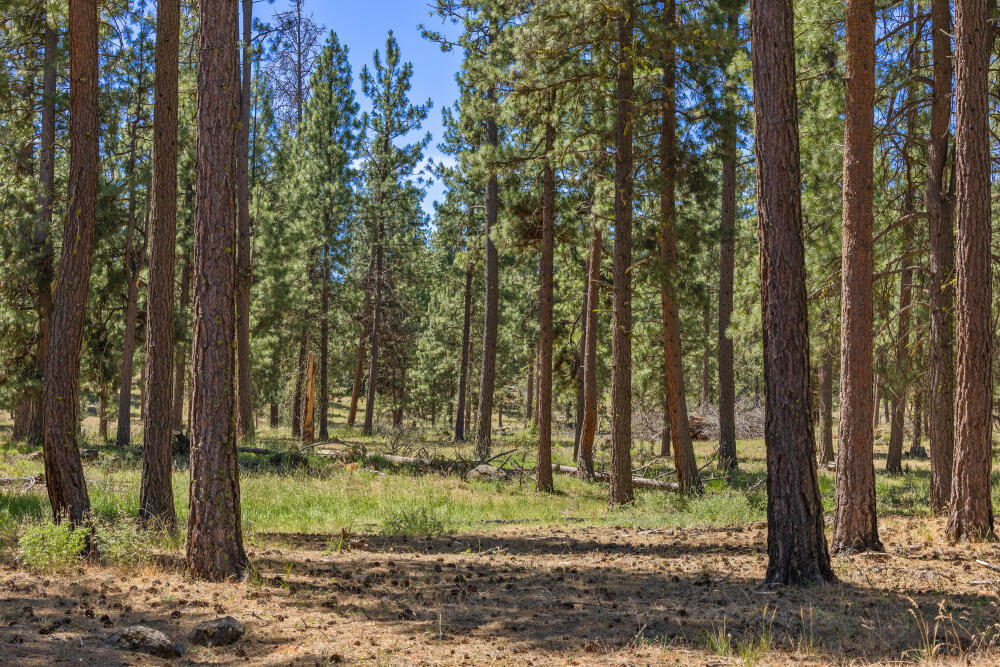Property Photo: 0 Blue Wing Street OR 97627
