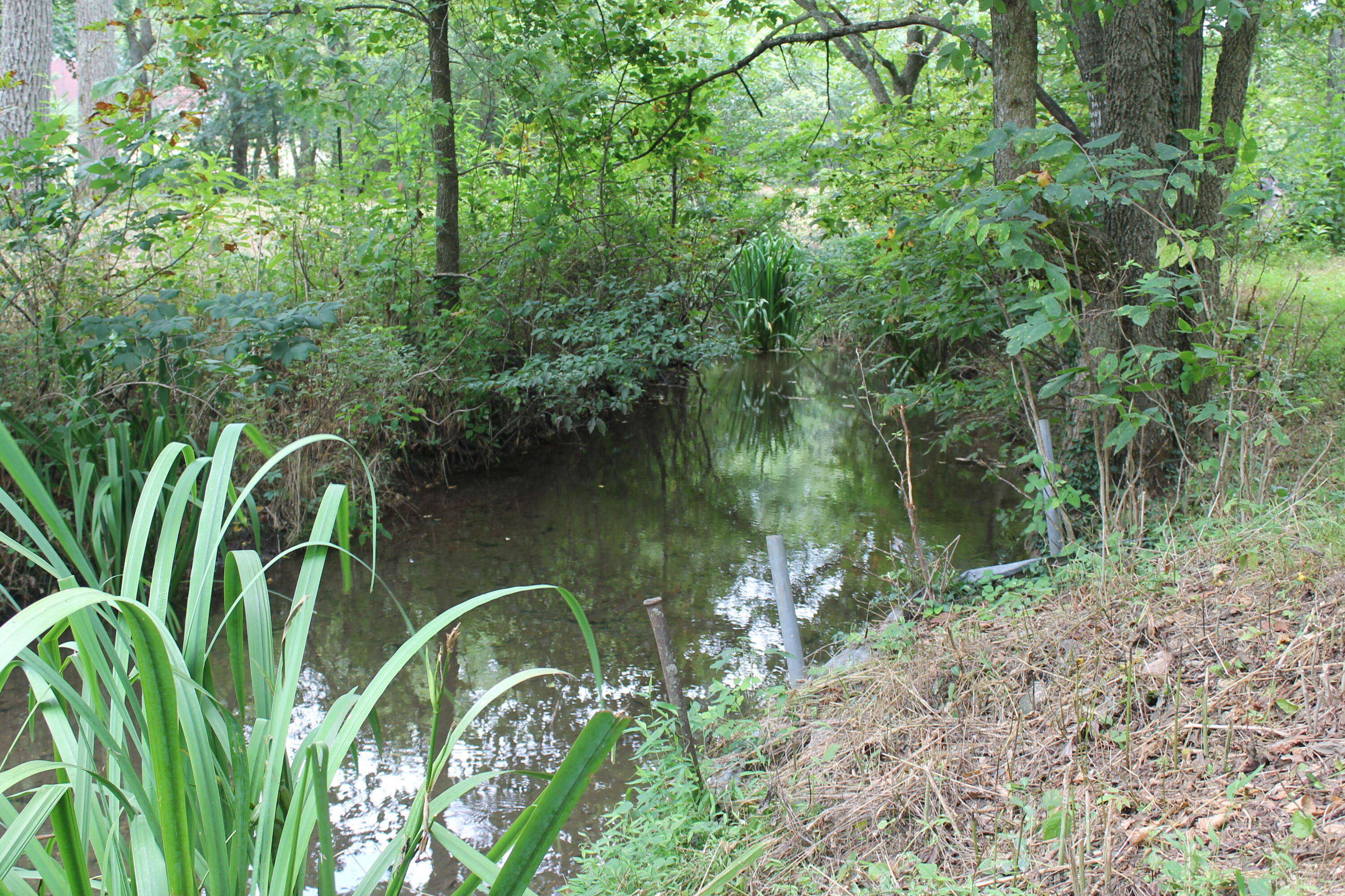 Property Photo:  1721 Matney Hollow Road  MO 65746 